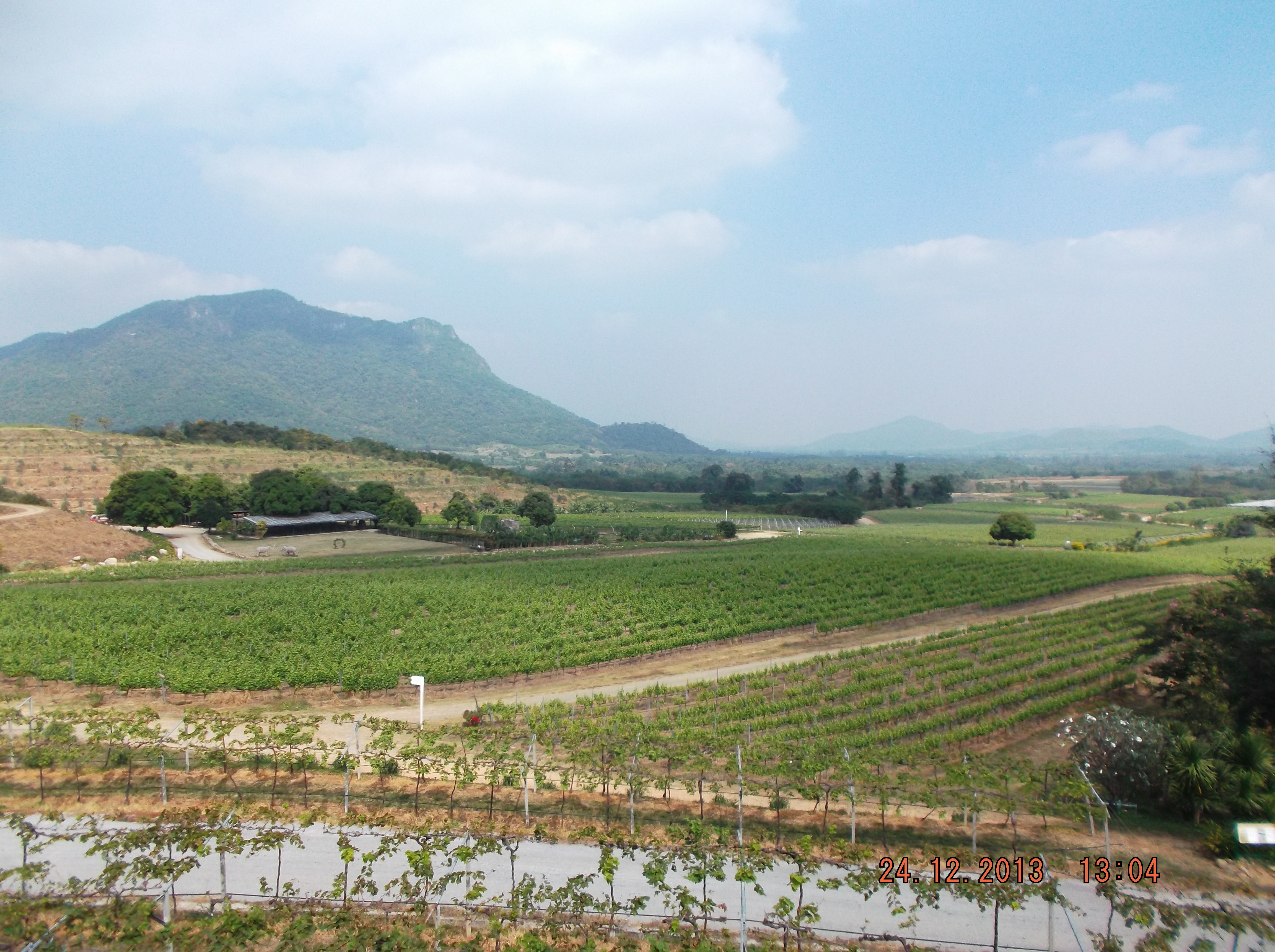 หัวหิน ฮิลล์ วินยัด - panoramio (1)