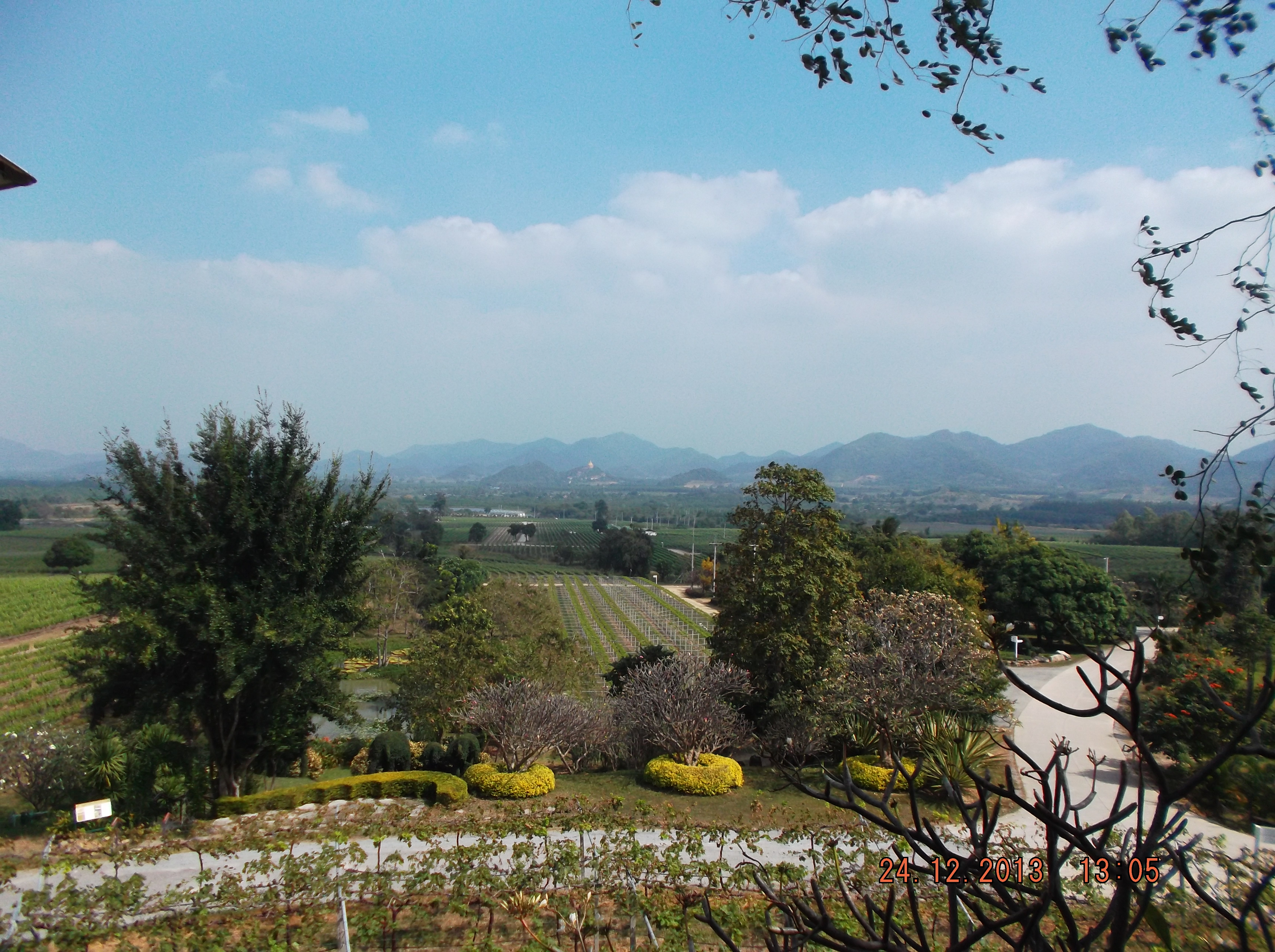 หัวหิน ฮิลล์ วินยัด - panoramio